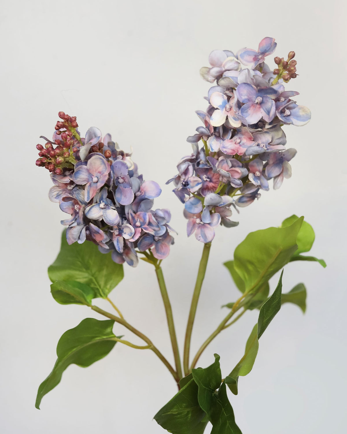 Artificial lilac with purple and pink flowers on a white background