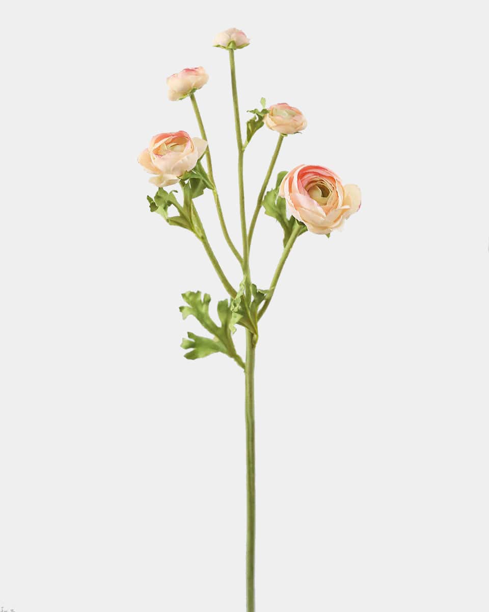 Mini Fake Ranunculus in Apricot Peach