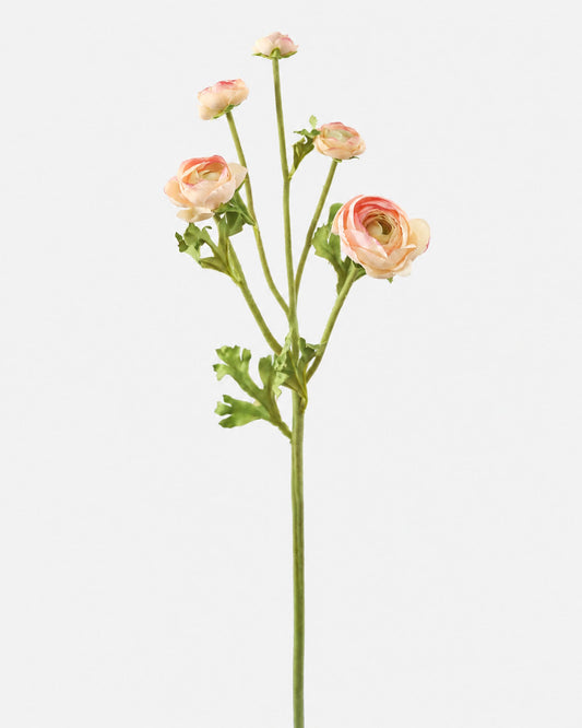 Artificial ranunculus stem with pink flowers on a white background