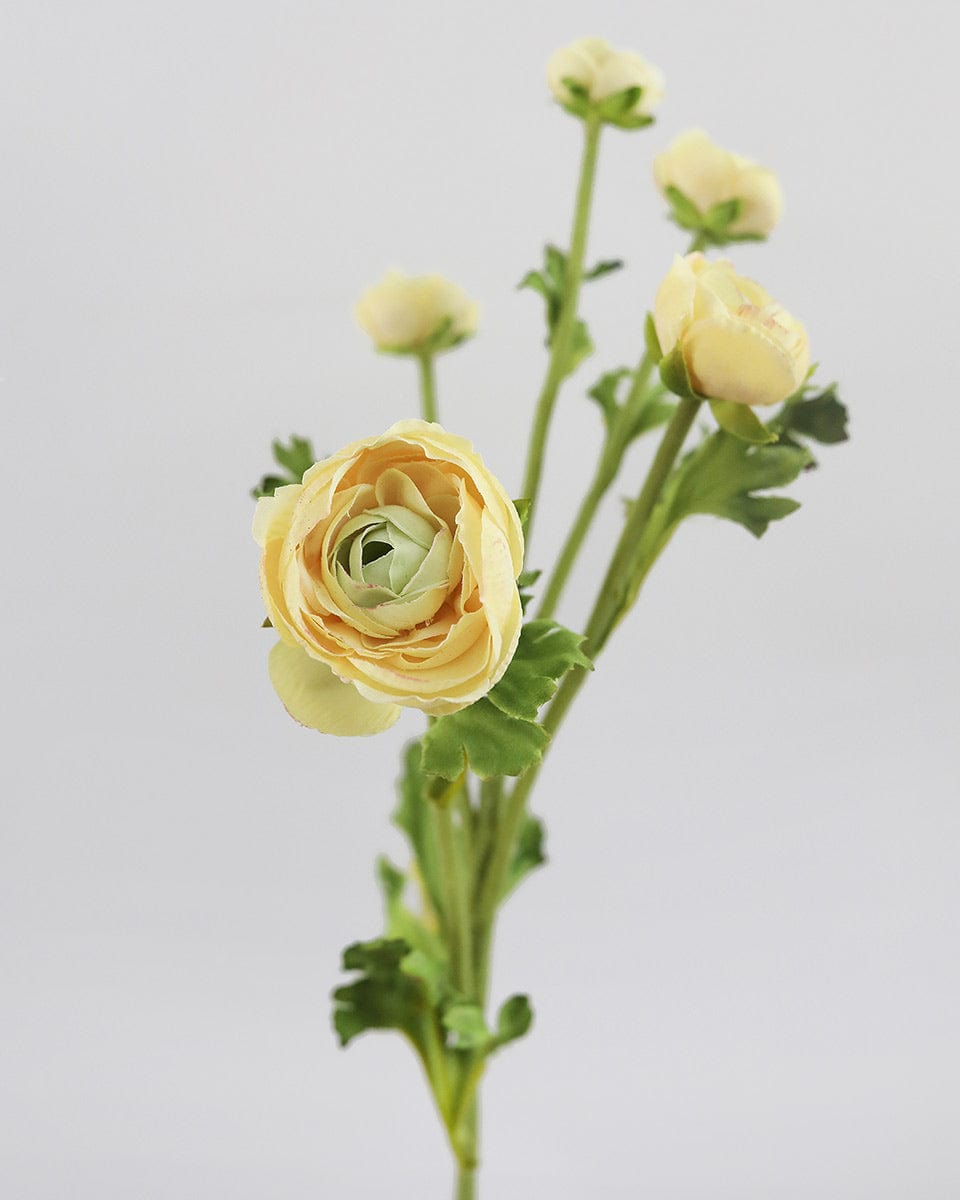 Close of Detail of Real Touch Mini Yellow Ranunculus Blooms