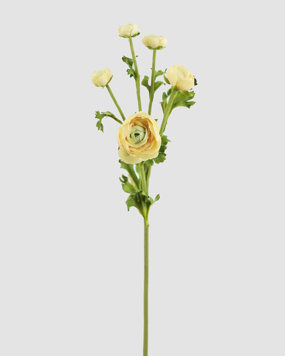Artificial Lemon Ranunculus Spray 22”