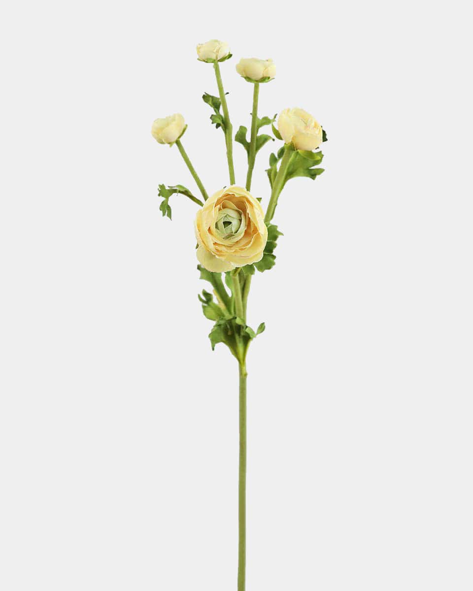 Prestige Botanicals Artificial Yellow Ranunculus Spray