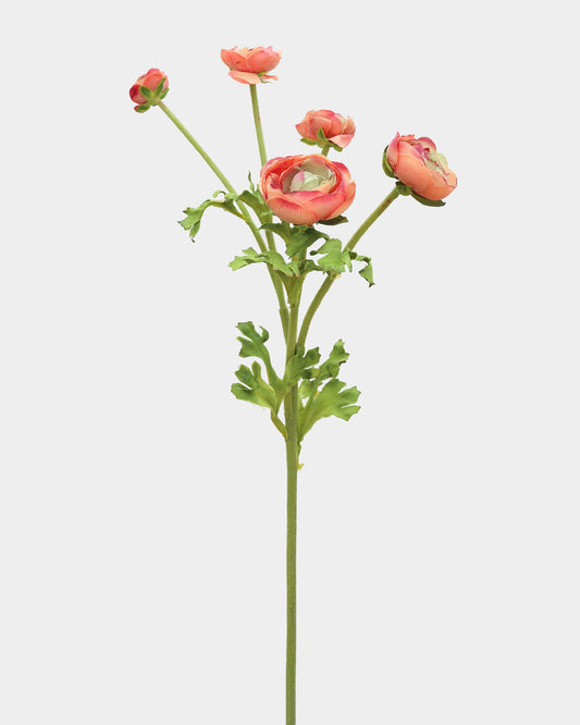 A single artificial ranunculus flower stem with coral-pink blooms and green leaves, photographed against a plain light gray background.
