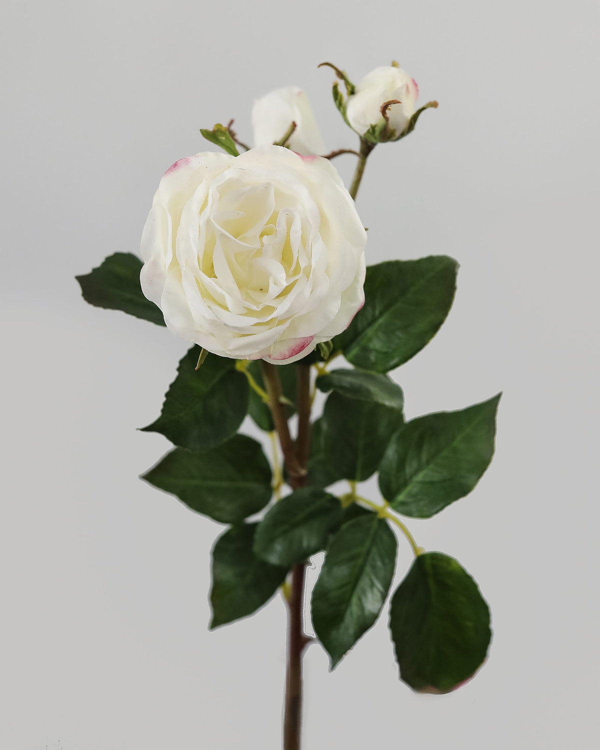 Close-up of an artificial white real touch rose bloom with green leaves on a light background.