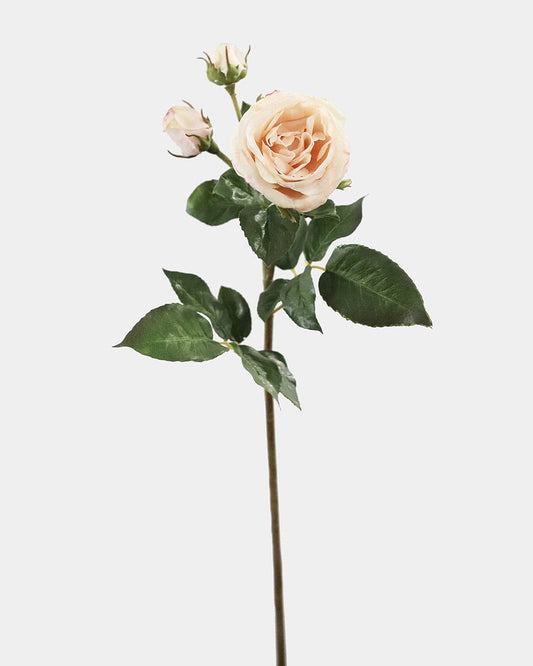 Prestige Botanicals Artificial Light Pink Ecuadorian Rose stem