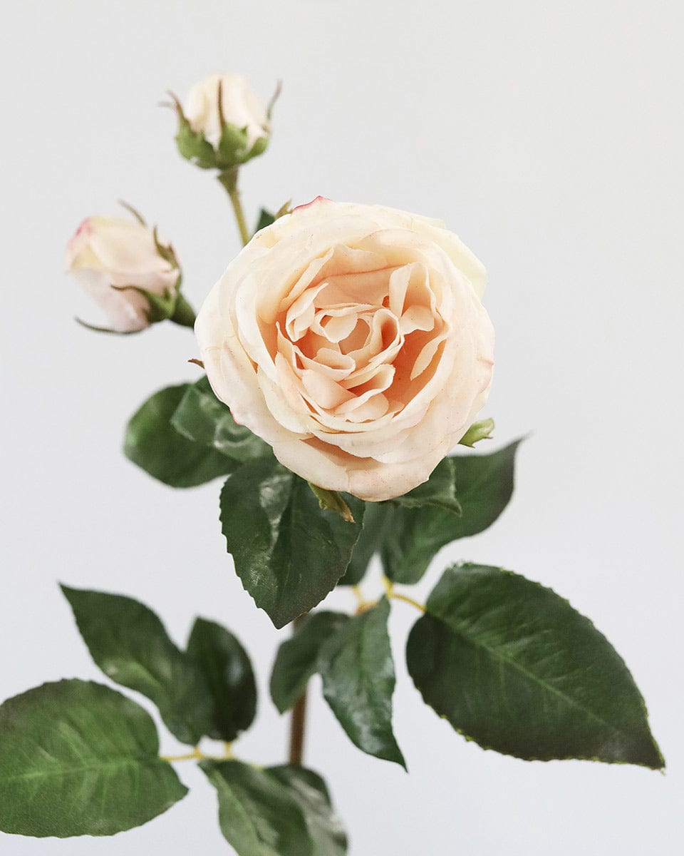 Pink Roses Element Real Real Touch Pink Rose | Real Touch Flowers | Artificial Pink Roses