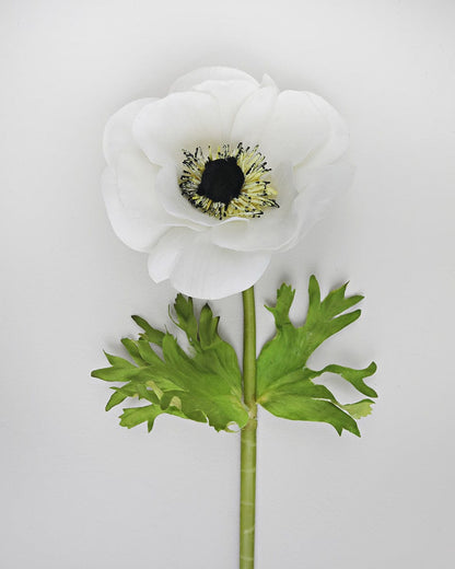 Prestige Botanicals Artificial White Anemone Flower close up