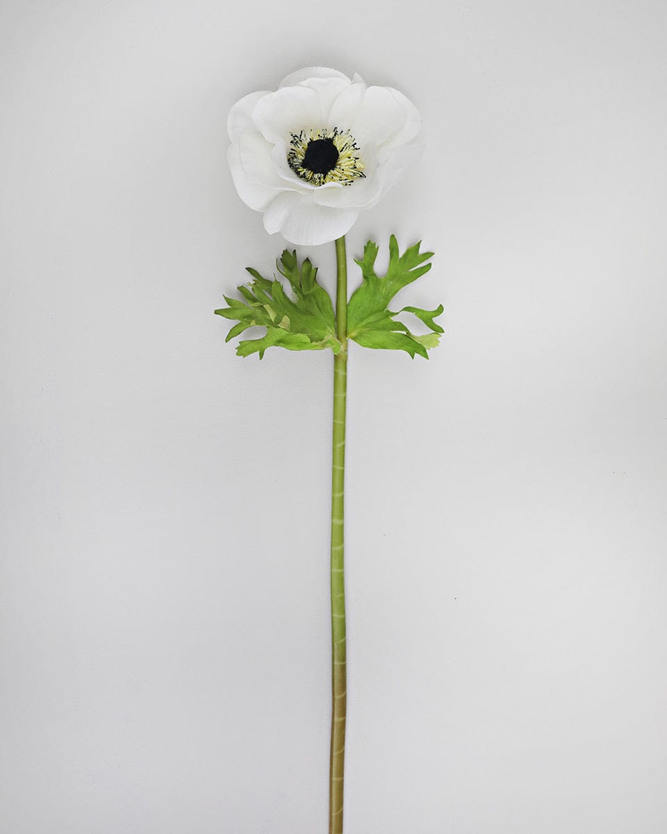 Prestige Botanicals Artificial White Anemone Flower stem