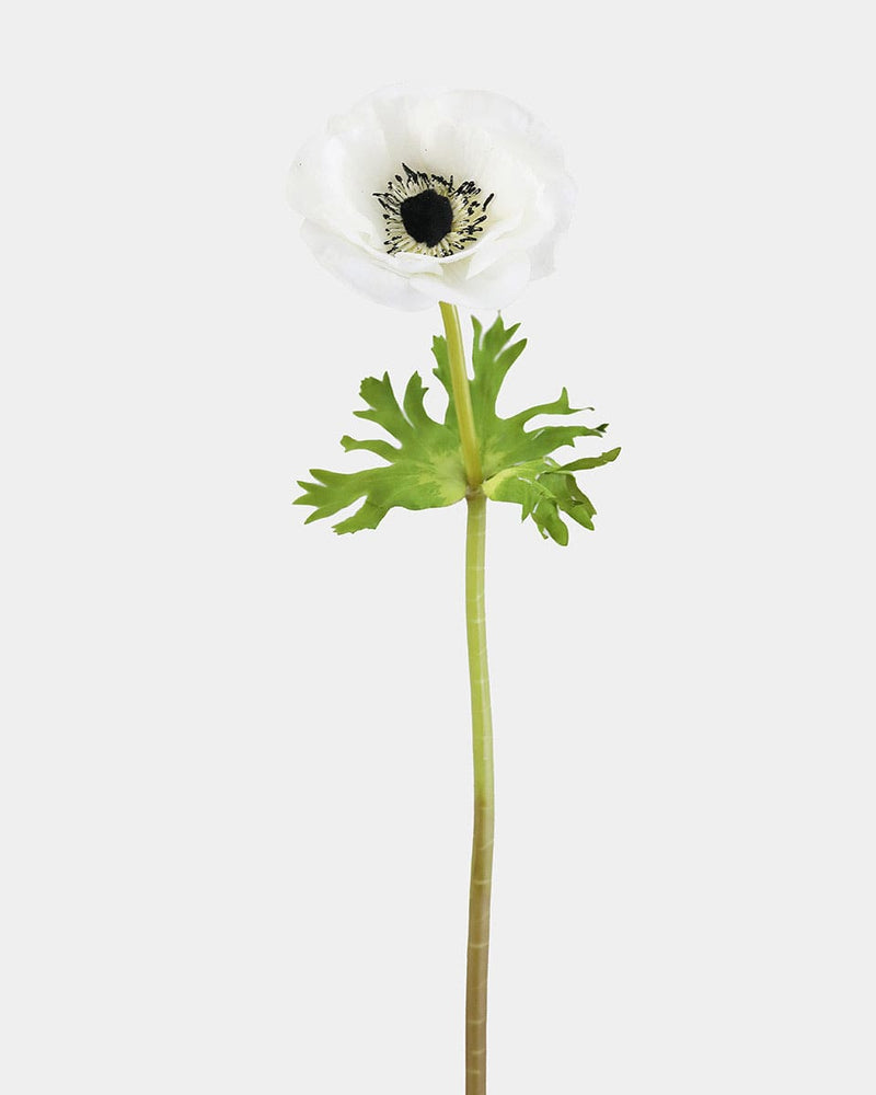 Prestige Botanicals Artificial White Anemone Flower stem