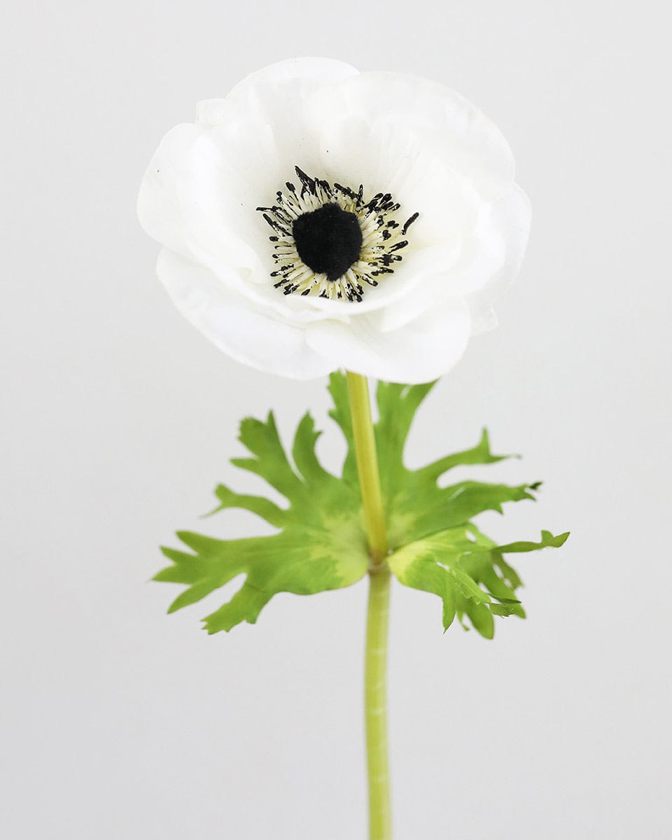 Prestige Botanicals Artificial White Anemone Flower close up