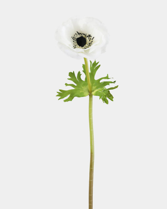 White faux anemone with green leaves on a white background