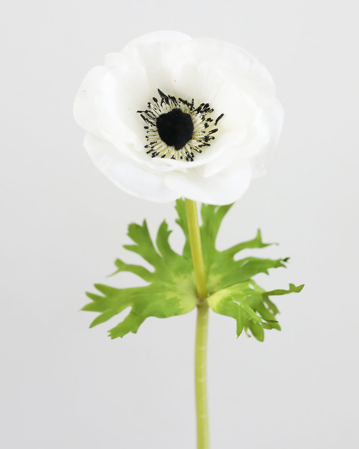 A single white faux anemone flower with a dark black-and-yellow center and green leaves on a stem, photographed against a plain light gray background.