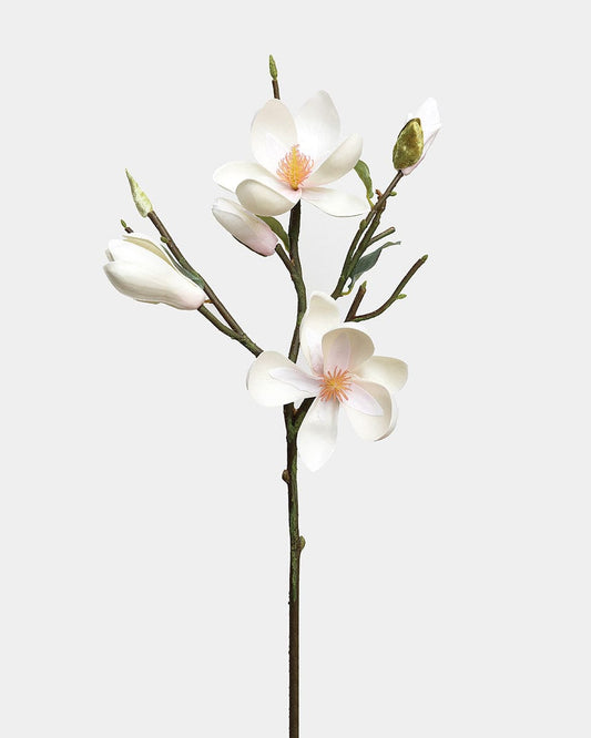 Prestige Botanicals Artificial White Magnolia Tulip Branch