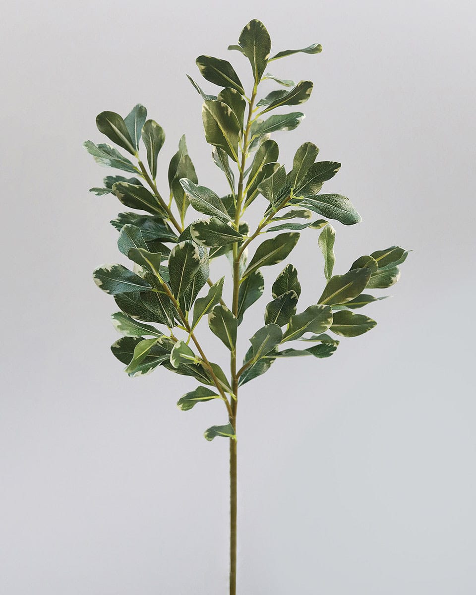 Prestige Botanicals Artificial Long Pittosporum Faux Foliage Stem