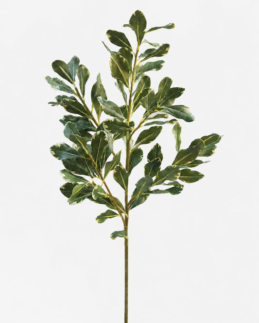 Faux Greenery Pittosporum Leaves
