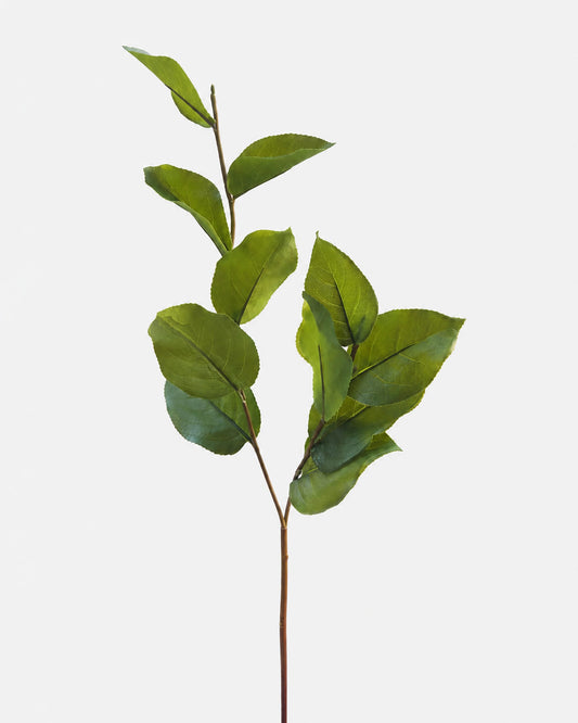 A single artificial green salal branch with realistic glossy leaves and a brown stem, isolated on a light gray background.