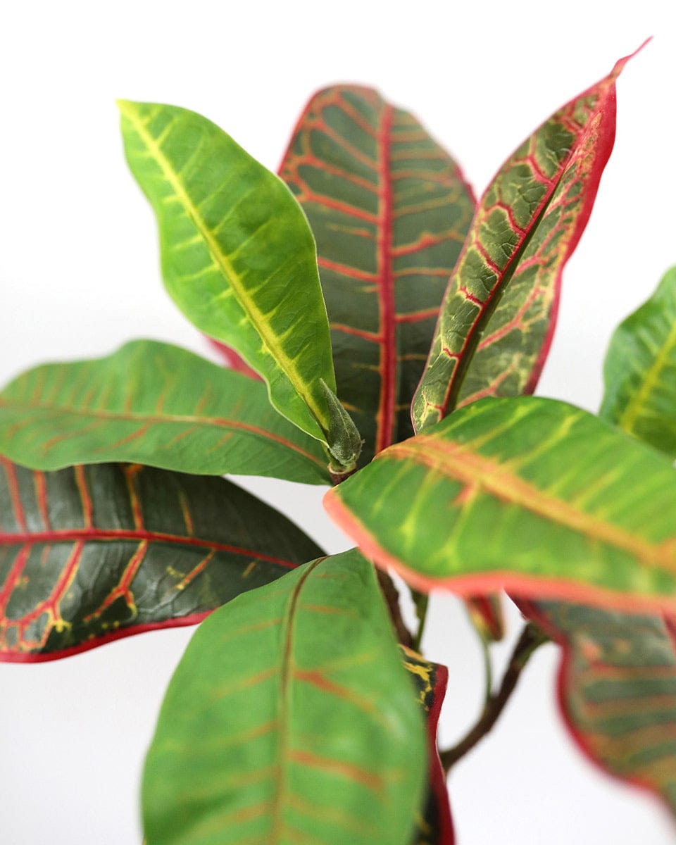 Fake Greenery Tropical Croton Leaves