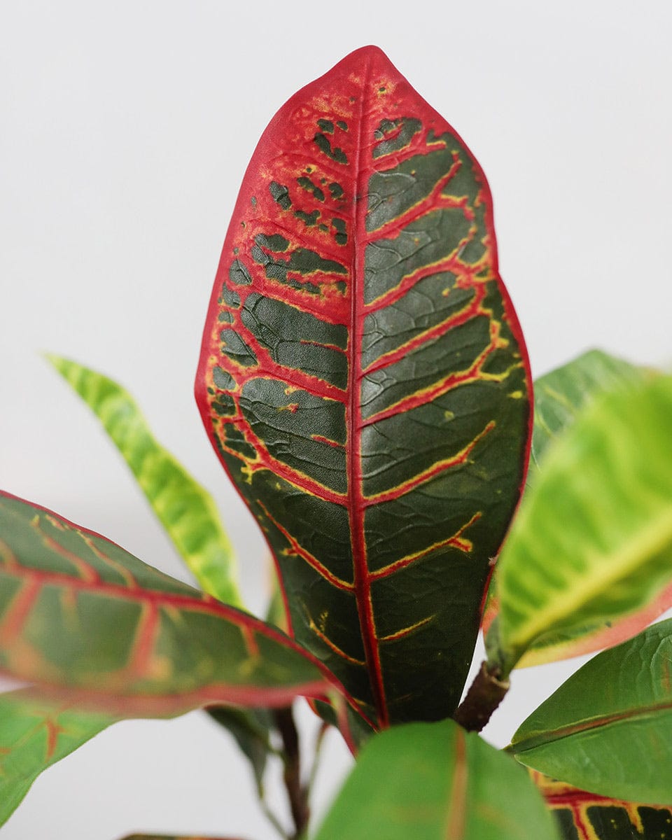 Prestige Botanicals Artificial Croton Foliage close up