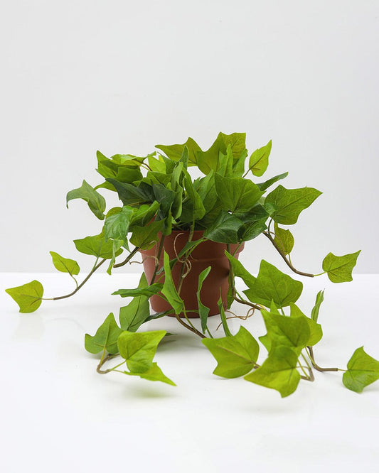 Faux Greenery Hanging Ivy Leaf Bush in Planter