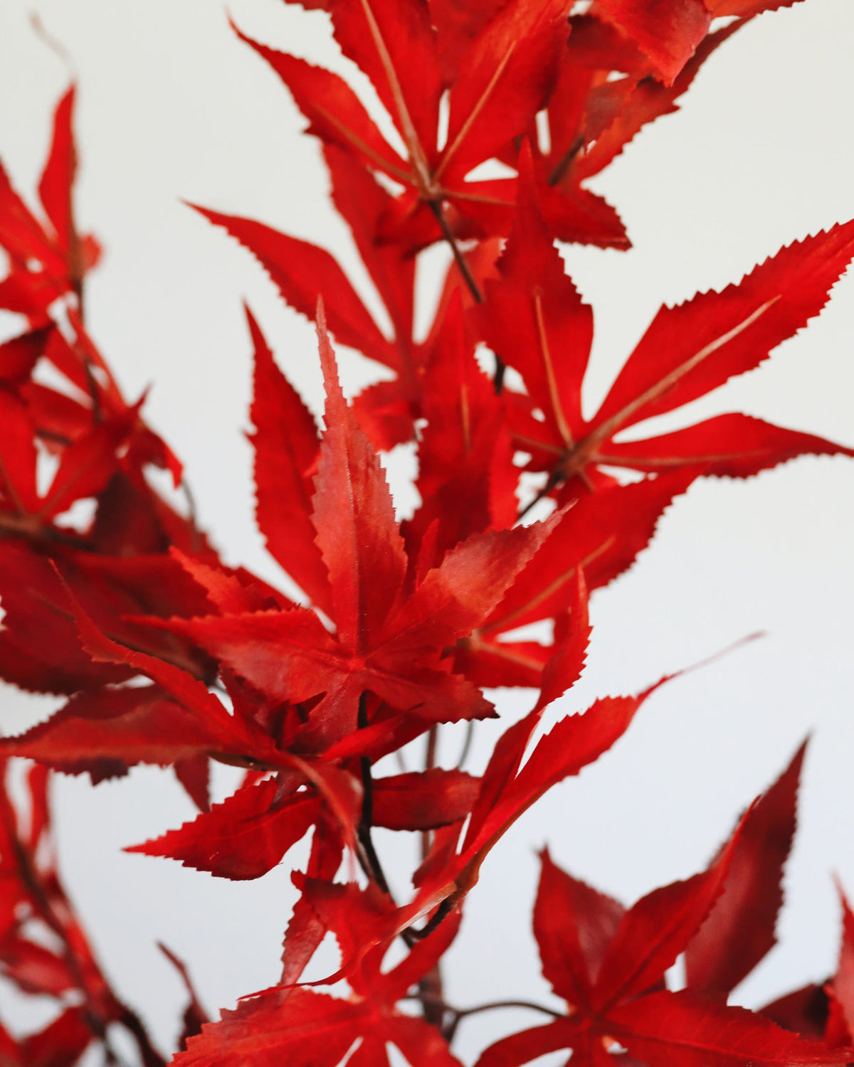 Bright red artificial maple leaves on a thin stem, photographed against a plain light gray background.