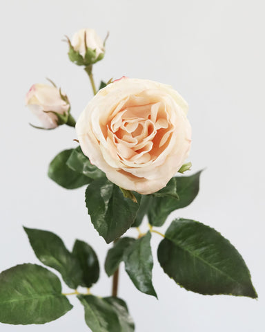 Real Touch Pink Rose 21.5