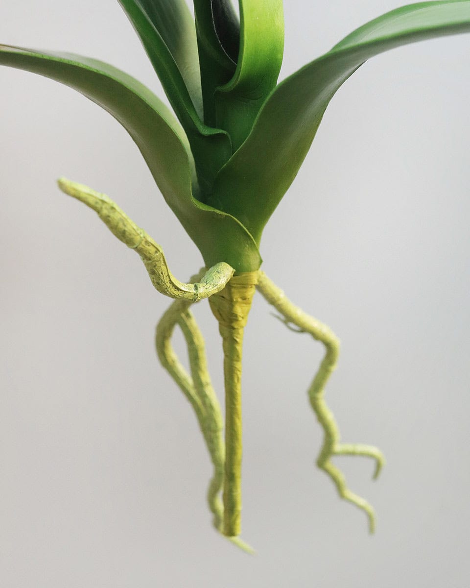 Artificial Orchid Leaves Plant with Roots