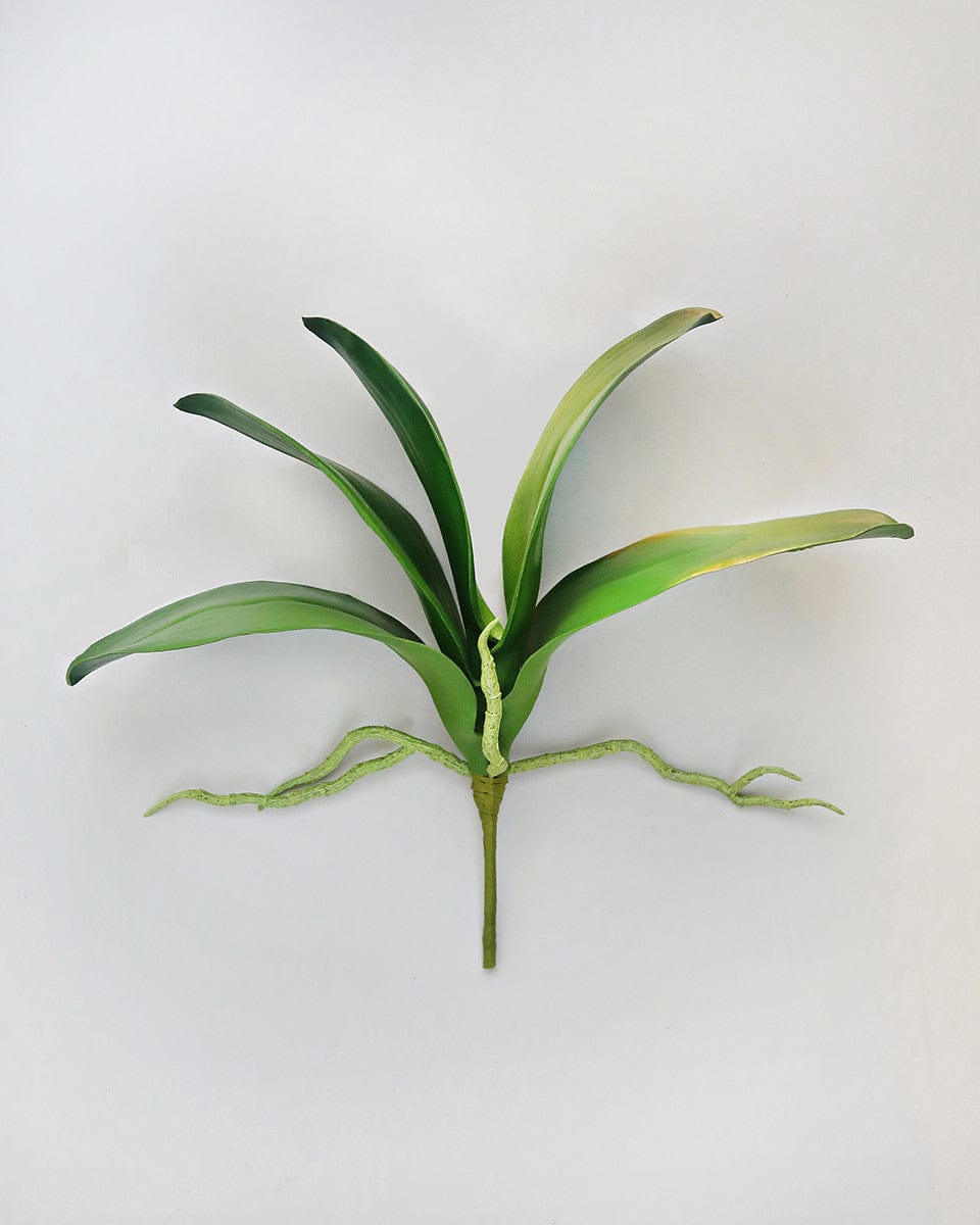 Prestige Botanicals Artificial Phalaenopsis Orchid Foliage