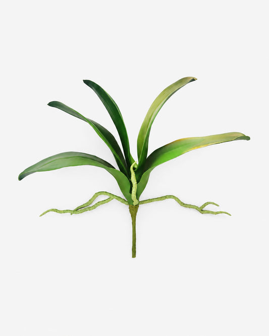 artificial orchid greenery with multiple long leaves and a few thin roots, isolated on a plain light gray background.