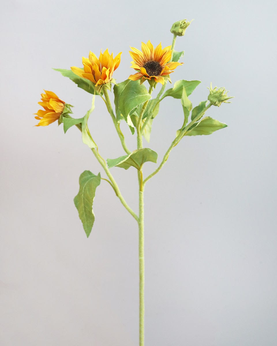 Prestige Botanicals Artificial Sunflower spray Stem