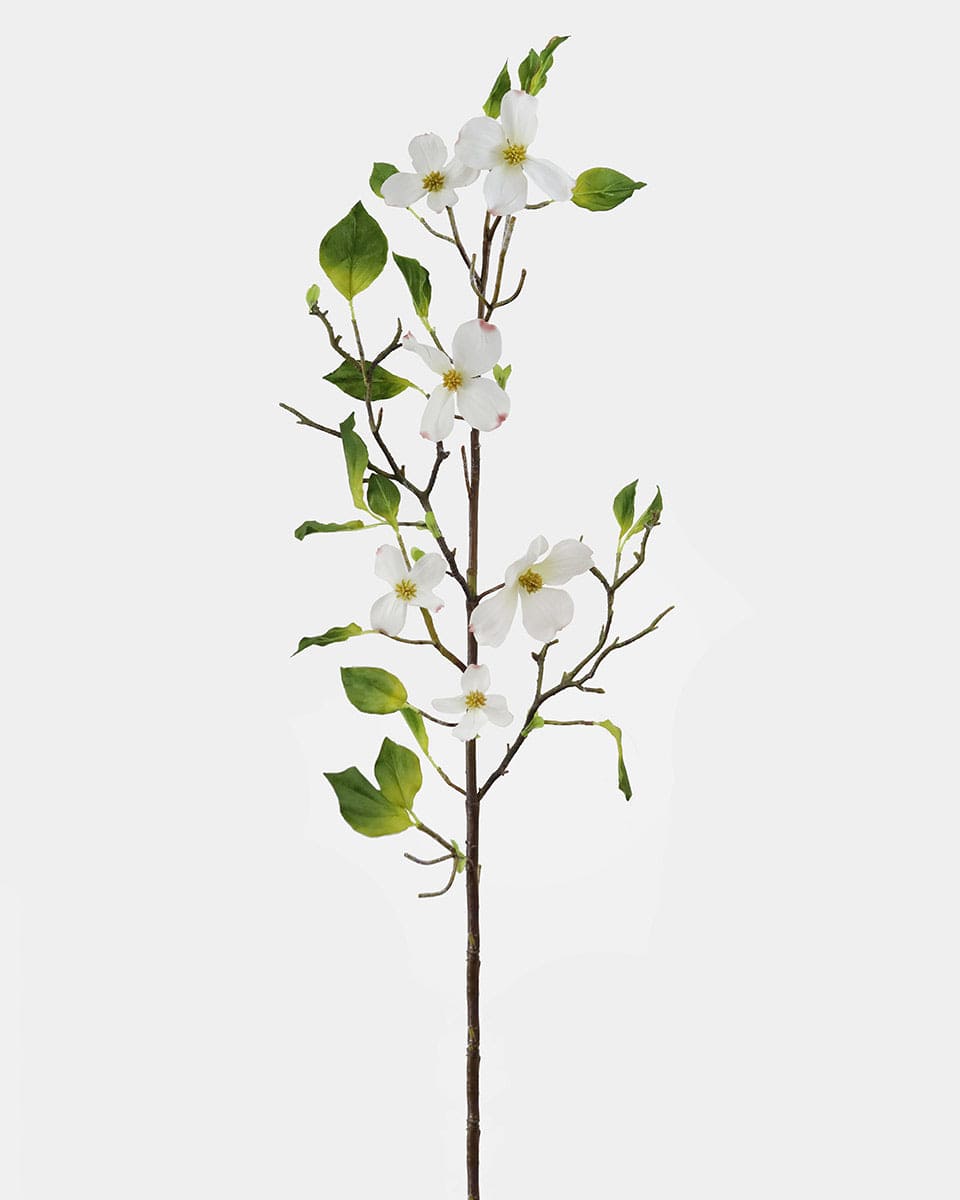 White Flowering Fake Dogwood Branch