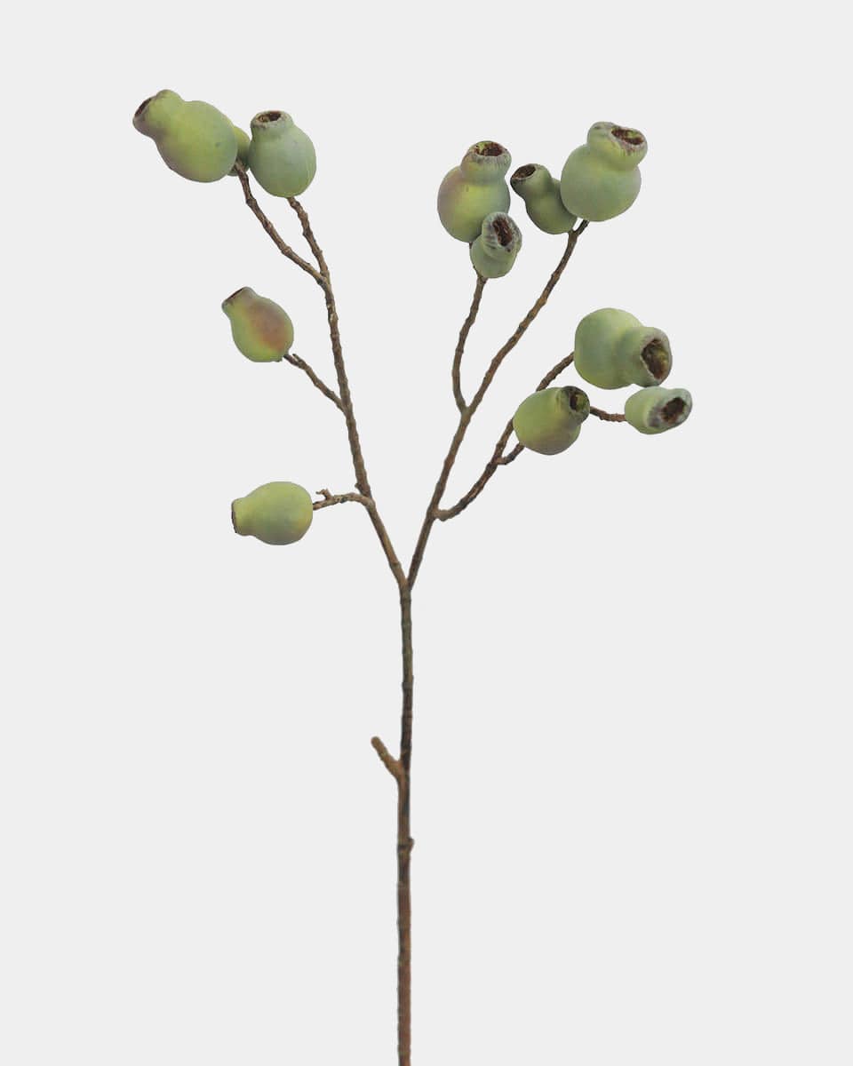 12 Pcs Artificial Eucalyptus Leaves Stems – Real Touch Green Foliage For Home Decor
