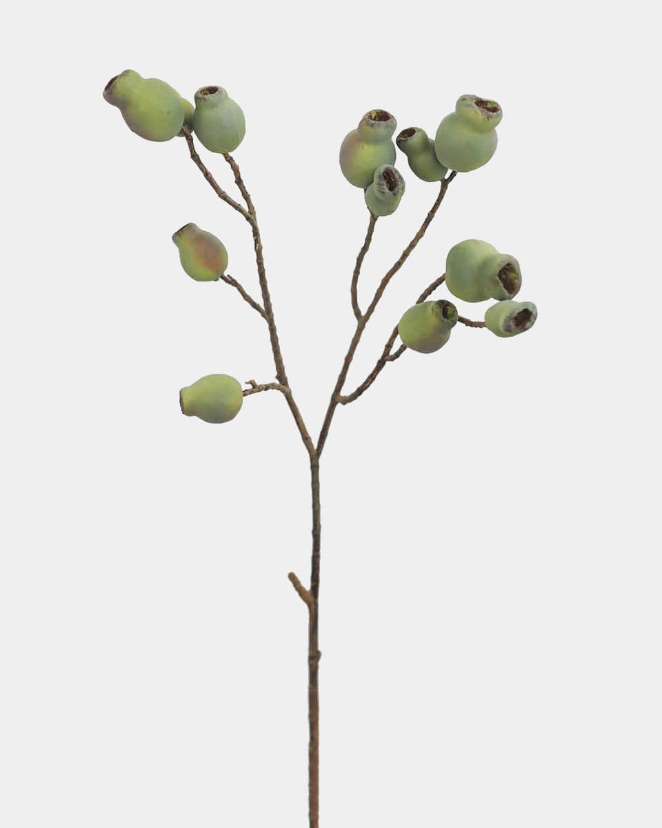 Faux Eucalyptus Pods in Green