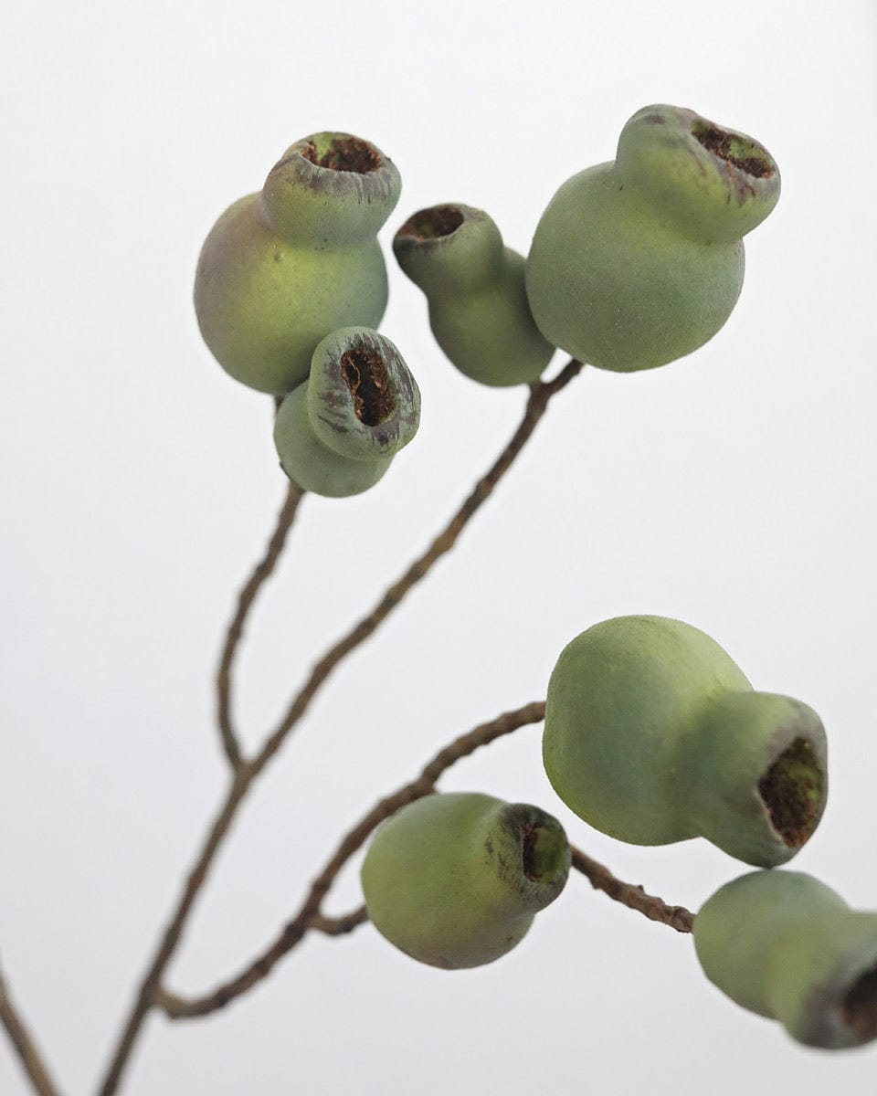 Close Up of Artificial Green Eucalyptus Pods