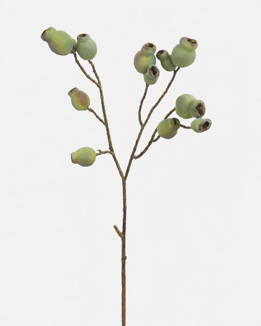 A single artificial Eucalyptus Pod stem  on a plain light gray background.