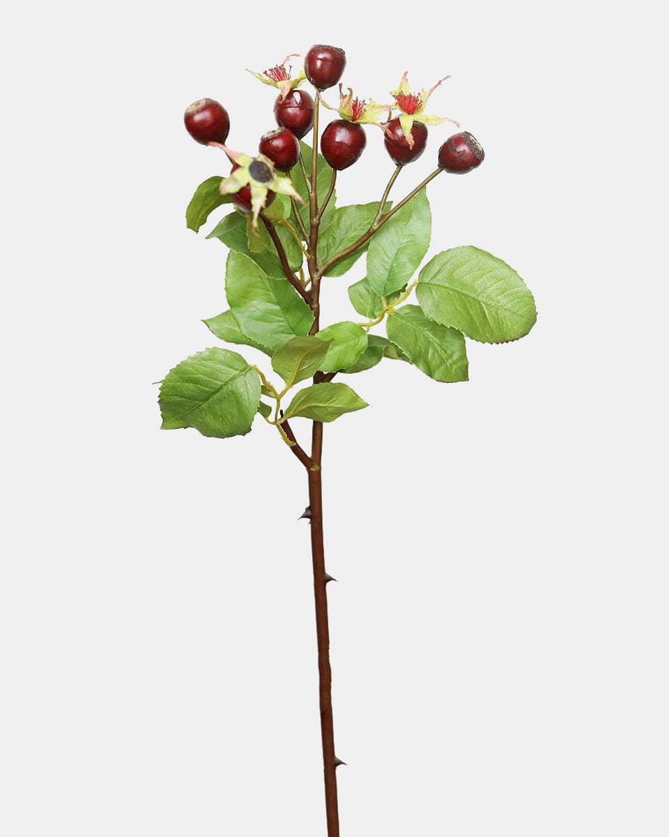 Burgundy Red Artificial Rose Hips