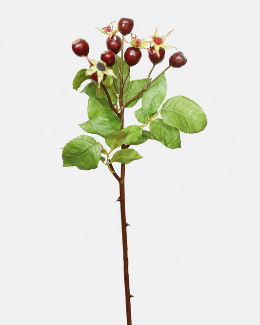 An artificial rose hip stem with green leaves, dark red berries, and small starburst flowers, isolated on a light gray background.