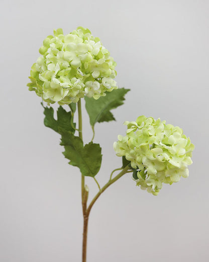 Artificial Flowers Green Snowballs Close Up