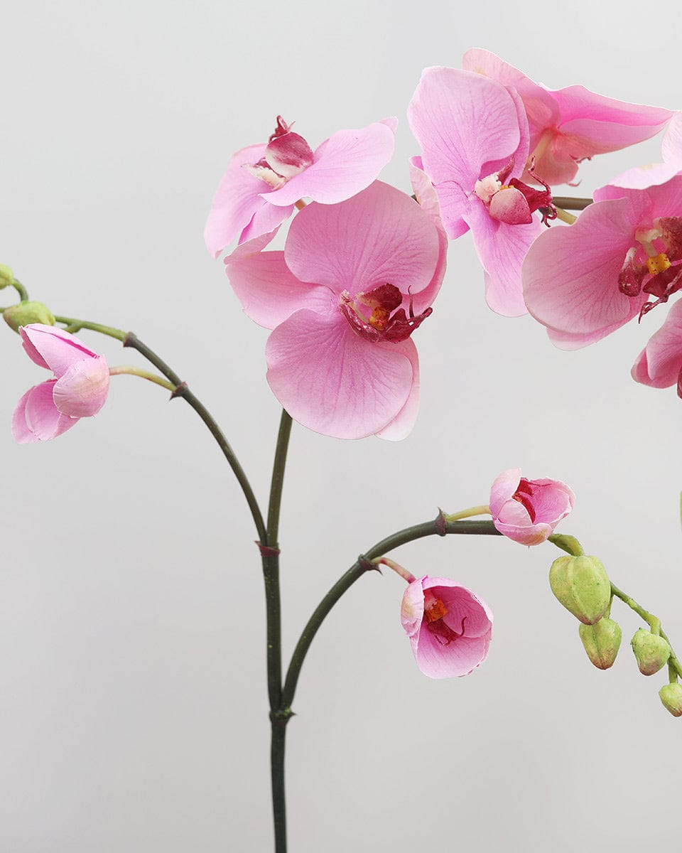 Pink Artificial Phalaenopsis Orchid Flower