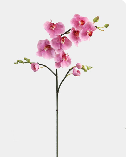 Prestige Botanicals Artificial Pink Spray Phalaenopsis Orchid stem