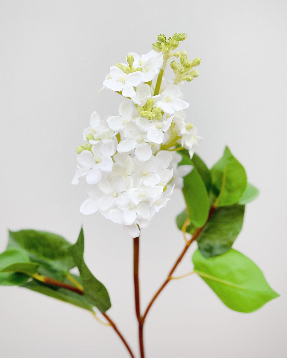 Details of White Real Touch Lilac Blossoms