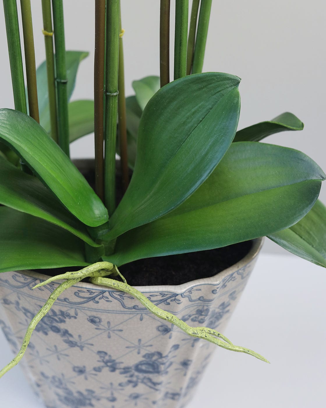Artificial Orchid Plant Green Leaves Details