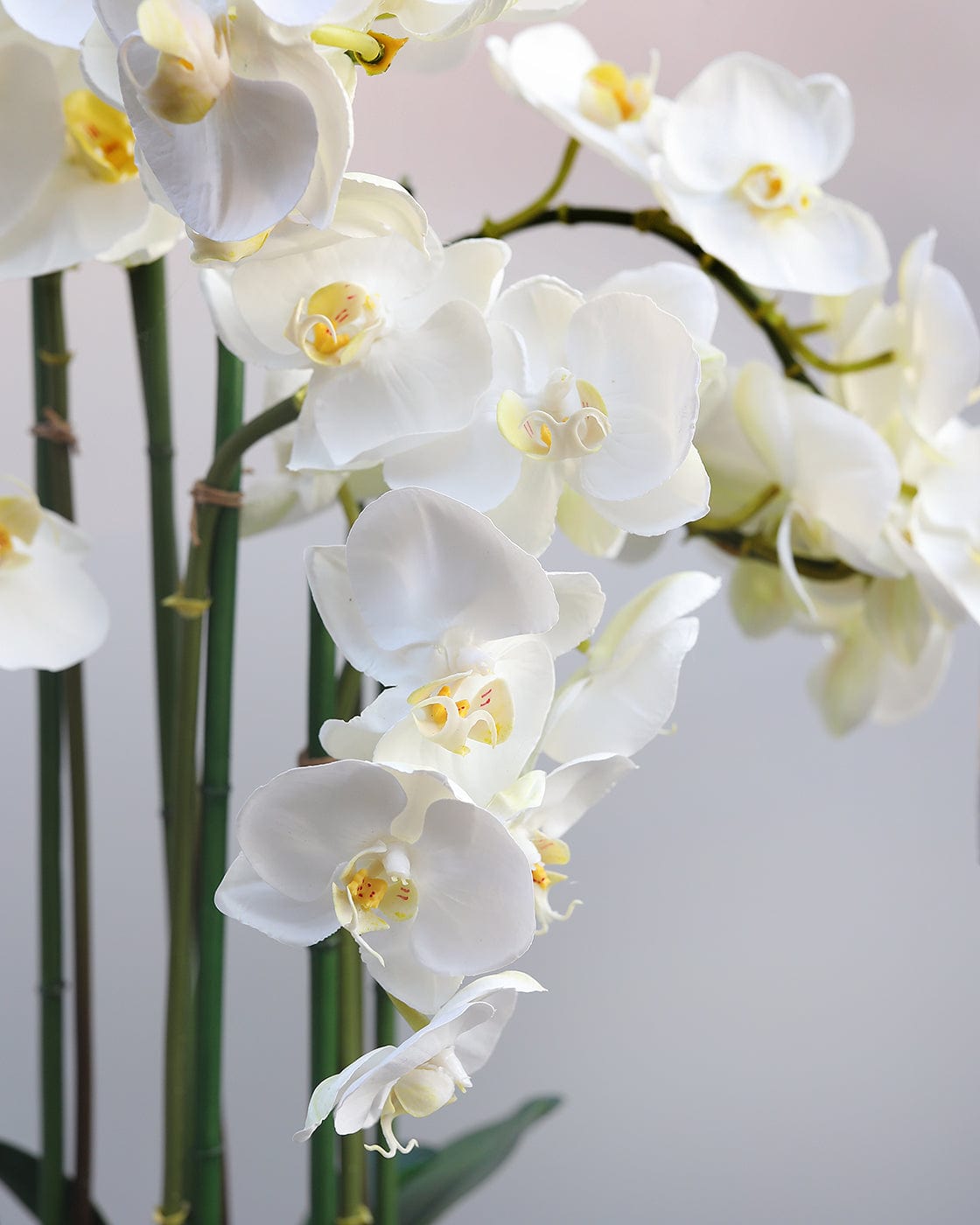 Close Up of White Artificial Cascading Phalaenopsis Orchids