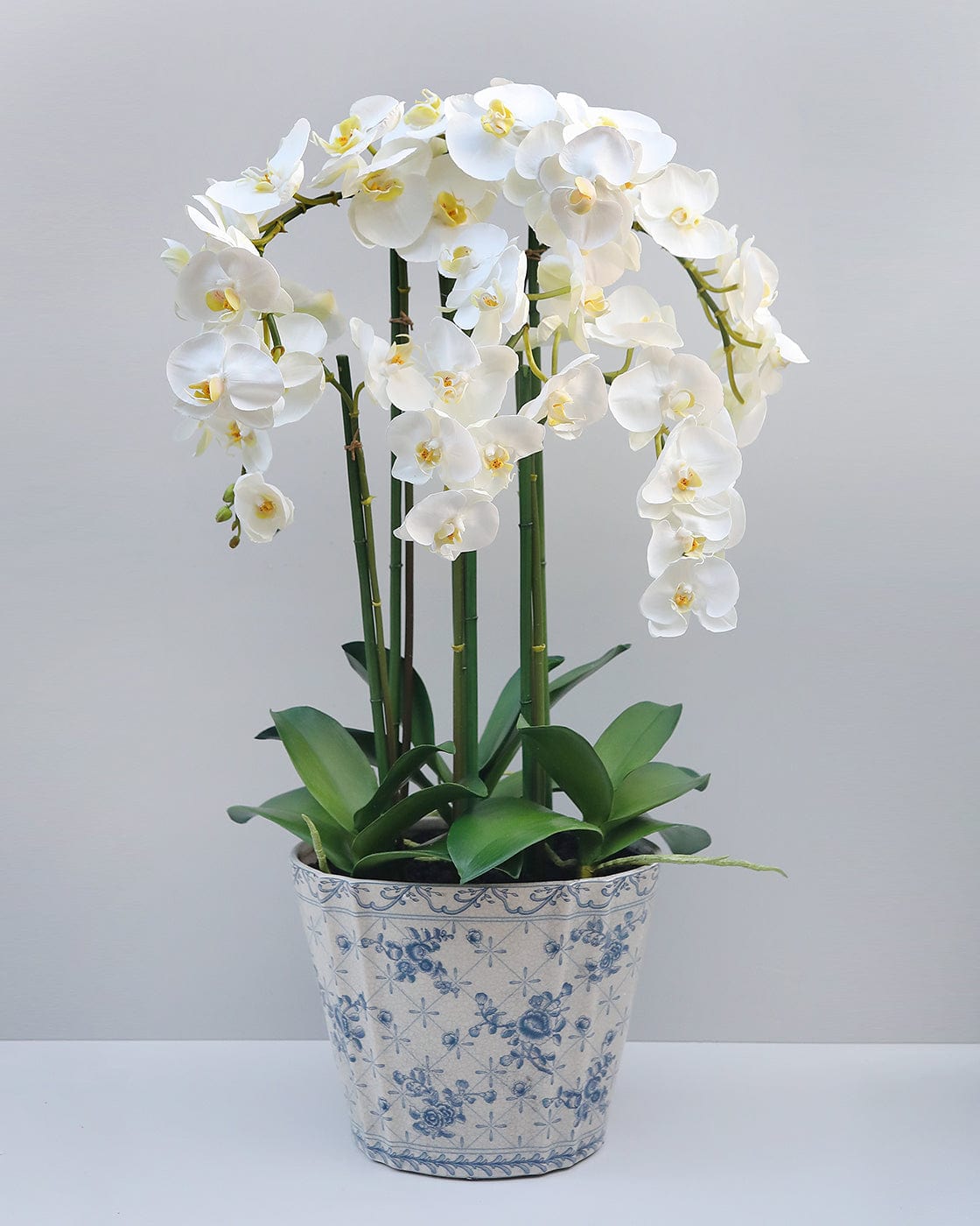 Real Touch Orchid Plant in Blue and White Floral Pot