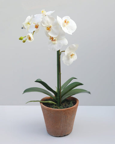 artificial flower plant with pot Artificial White Orchid in Terracotta Planter