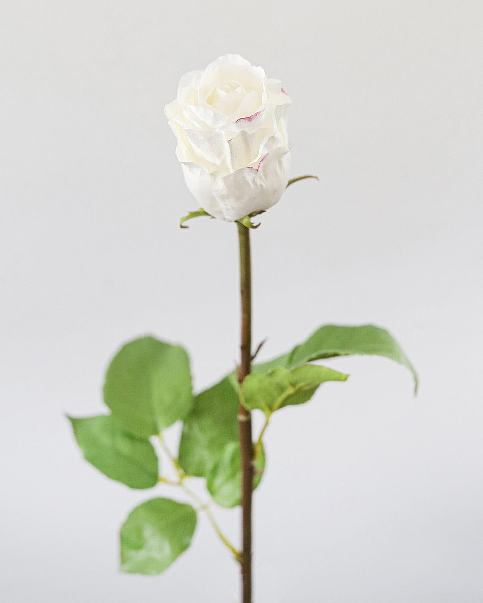 Prestige Botanicals Artificial White Duchess Rose Bud close up