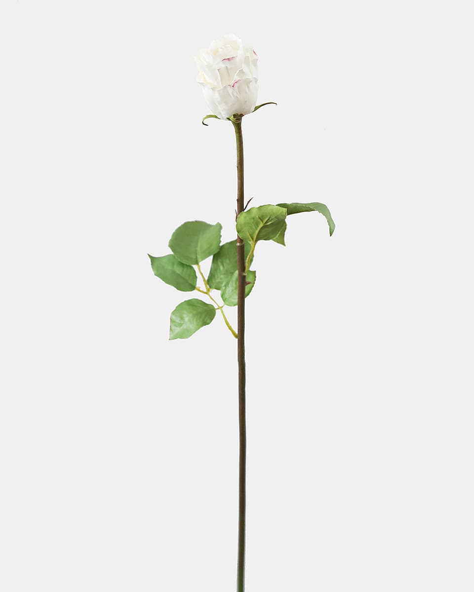 Prestige Botanicals pb-stem pb-stem Artificial White Duchess Rose Bud