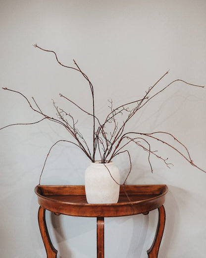 Twisted Willow Branches in Neutral Vase