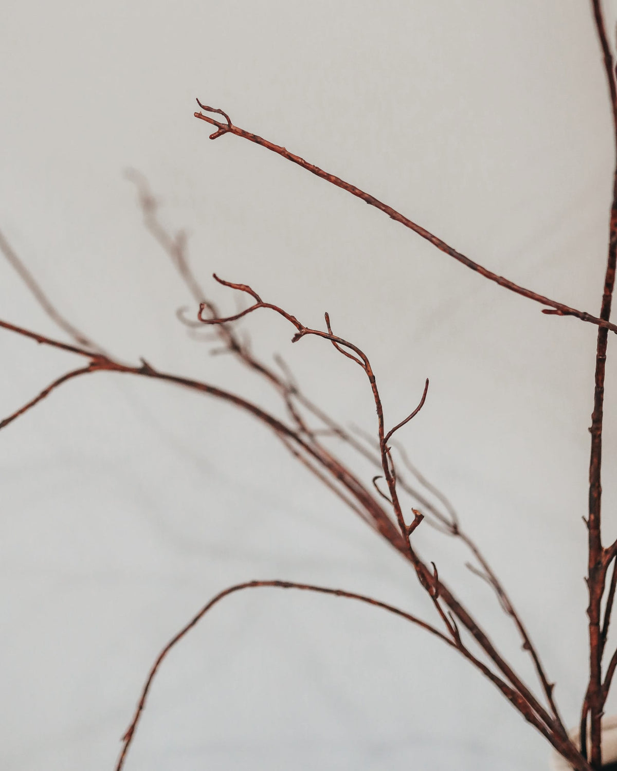 Red-brown decorative fake twigs with delicate branches arranged against a plain off-white background.