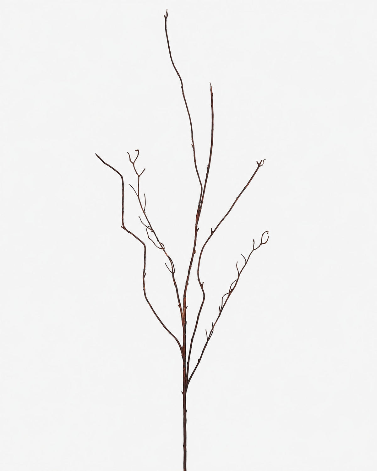 A single bare decorative faux branch with thin brown twigs and small buds, photographed against a plain light gray background.