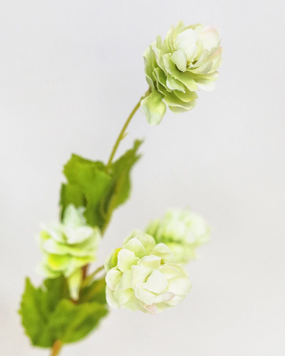 Prestige Botanicals Artificial Green Hops Close up